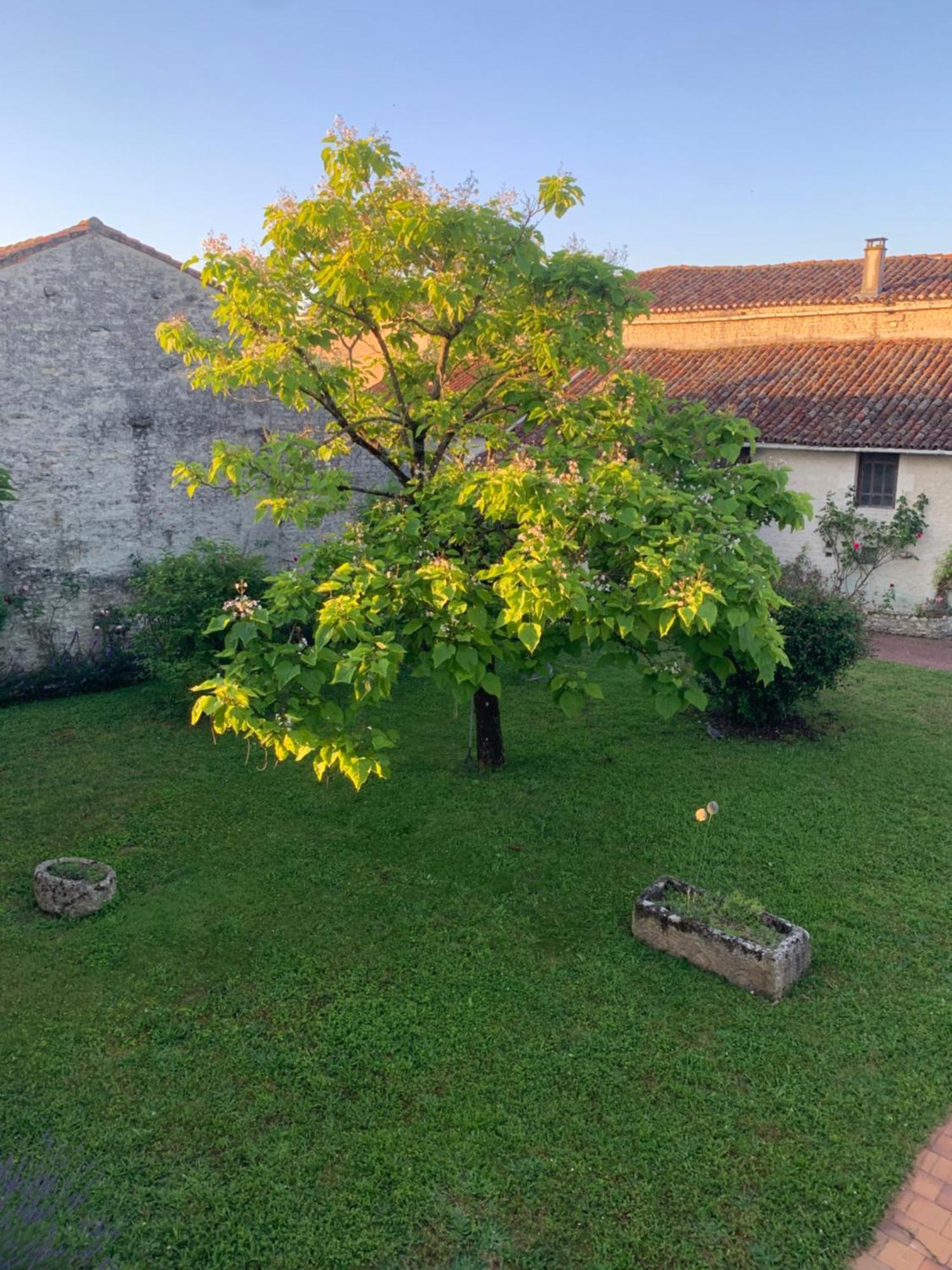 The Cool Lounge A Coulonges - Charente Bed & Breakfast ภายนอก รูปภาพ
