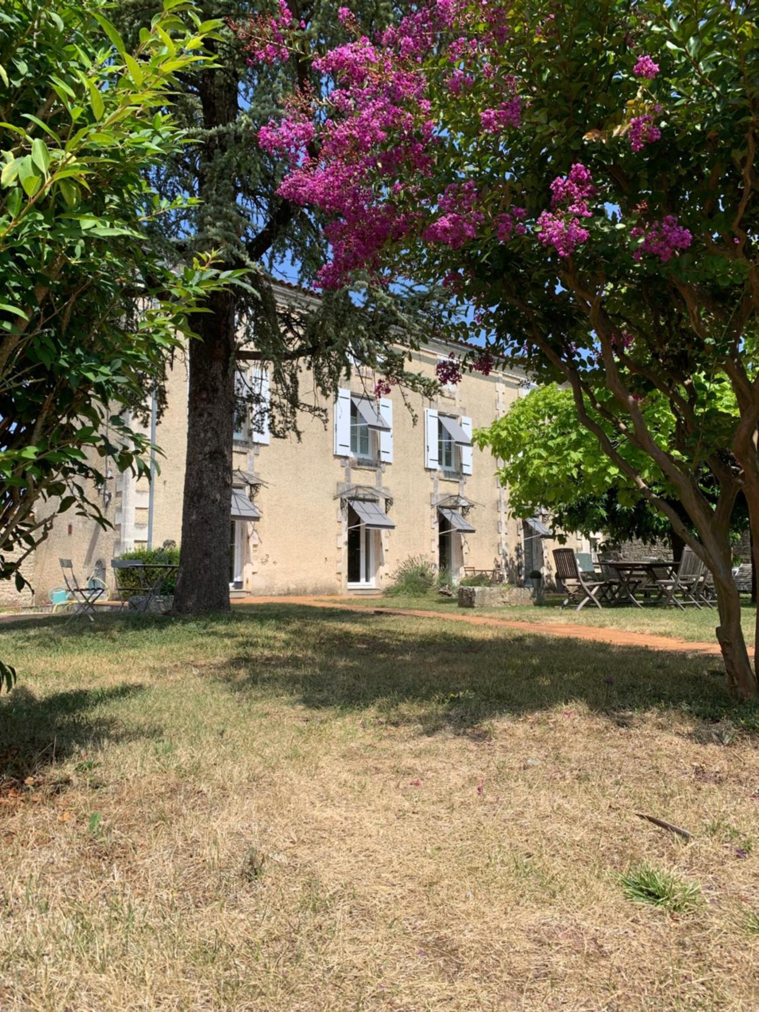 The Cool Lounge A Coulonges - Charente Bed & Breakfast ภายนอก รูปภาพ