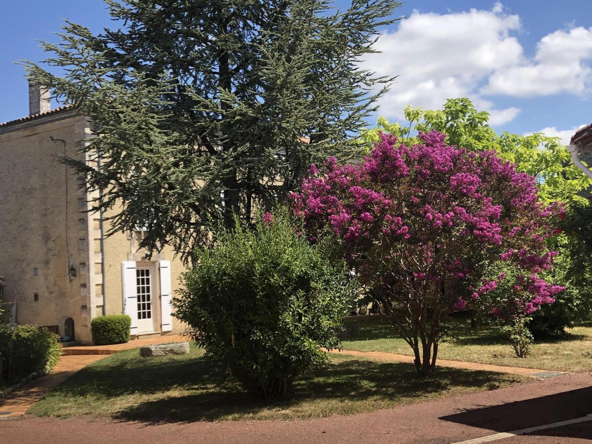 The Cool Lounge A Coulonges - Charente Bed & Breakfast ภายนอก รูปภาพ